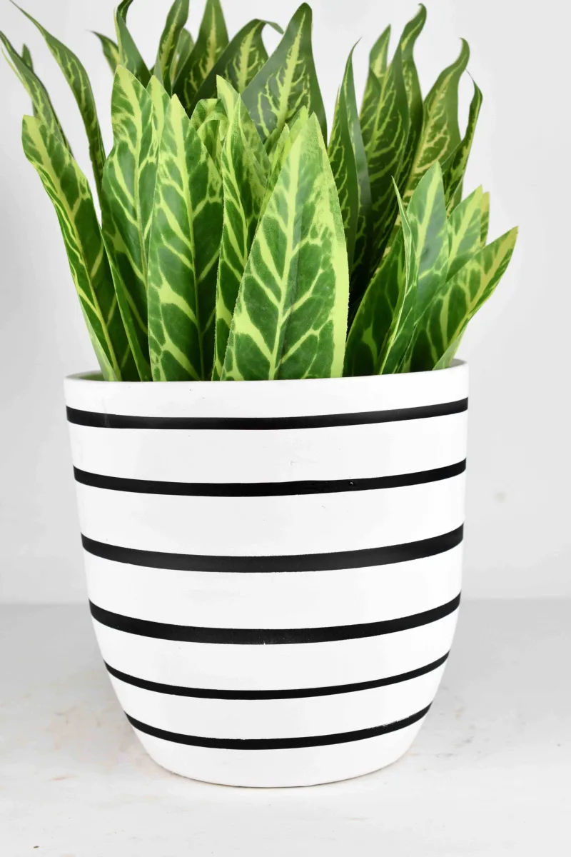 Classic Ceramic Planter — 8" Dia × 4" Height — Primary View