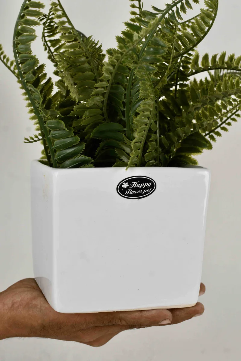 Classic Ceramic Planter — 4" Dia × 5.5" Height — Primary View