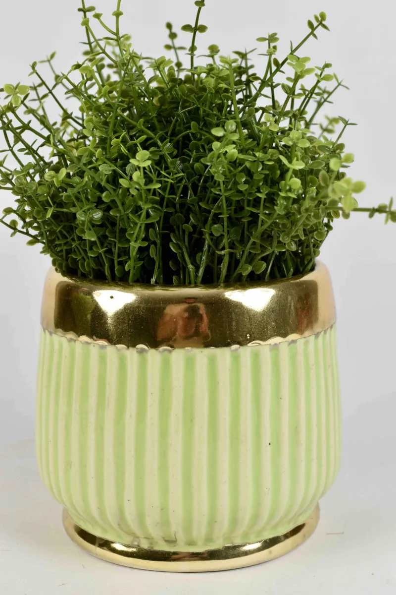 Classic Ceramic Planter Set of 3 (3" Dia)