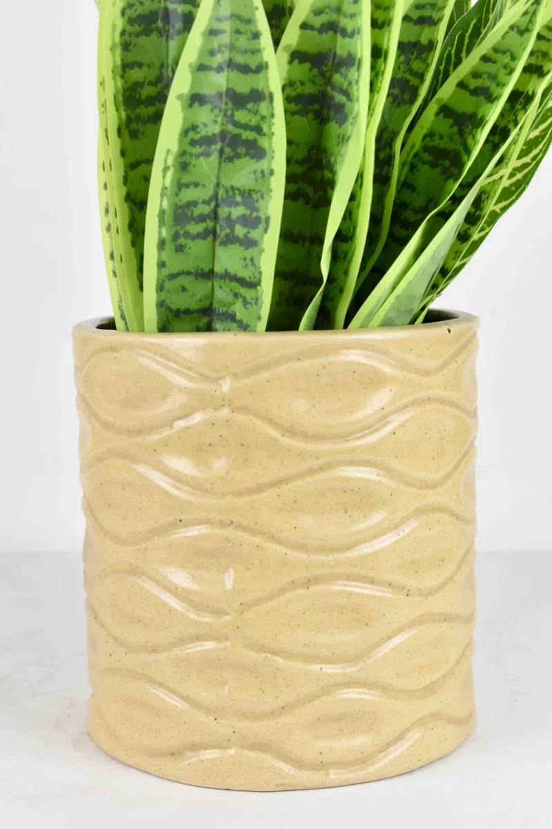 Classic Ceramic Planter — 5.5" Dia × 5.5" Height — Primary View