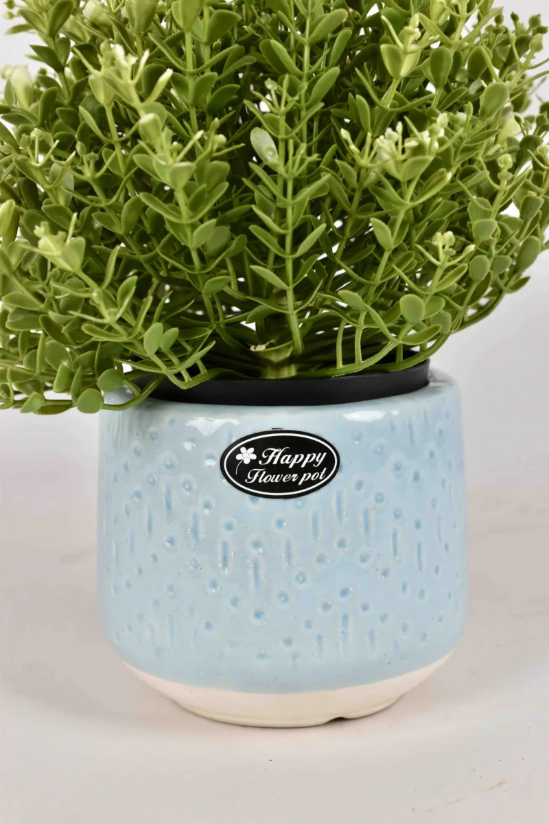 Classic Ceramic Planter — 6.5" Dia × 3" Height — Primary View