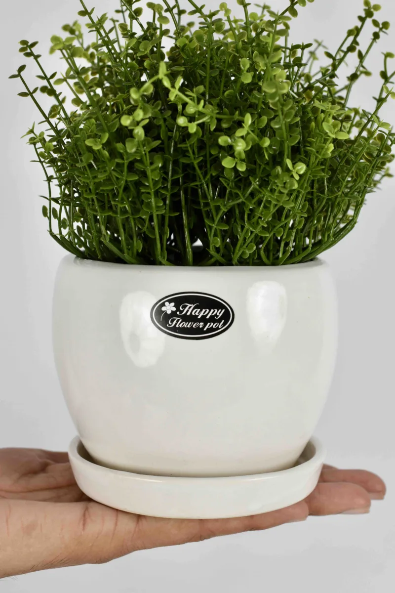 Classic Ceramic Planter — 5.5" Dia × 3" Height — Primary View