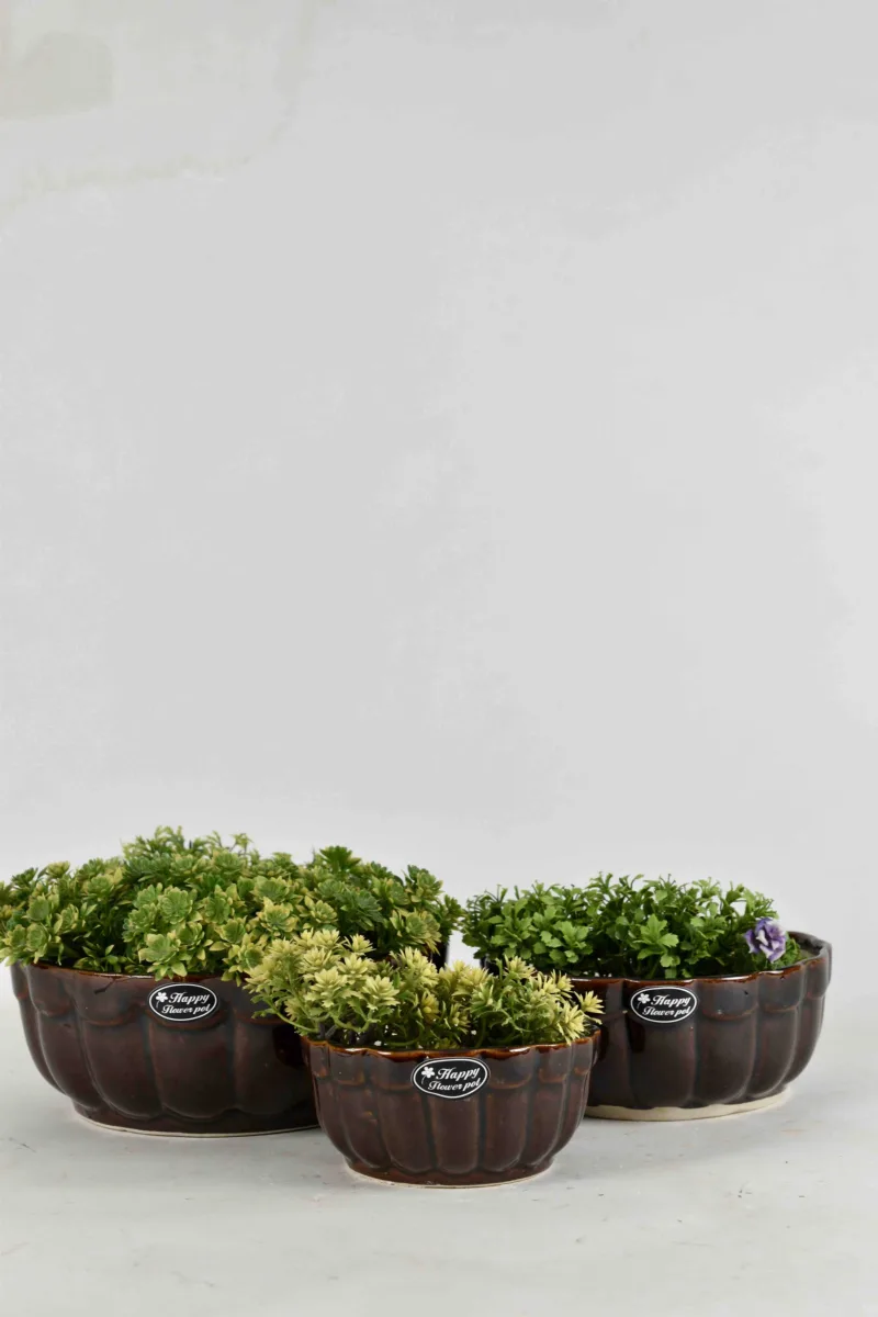 Classic Ceramic Planter — 4.5" Dia × 4.5" Height — Primary View